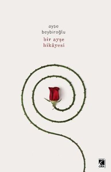 Bir Ayşe Hikayesi-zoom-