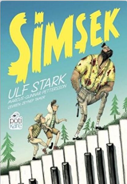 Şimşek-zoom-