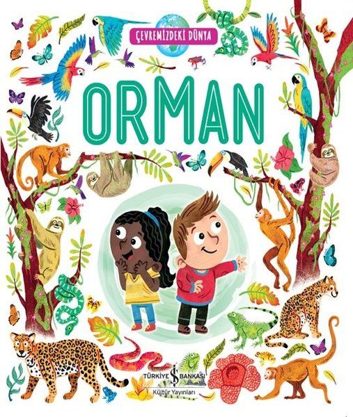 Orman - Çevremizdeki Dünya-zoom-
