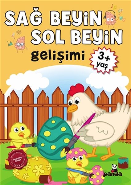 3 Yaş Sağ Beyin-Sol Beyin Gelişimi-zoom-