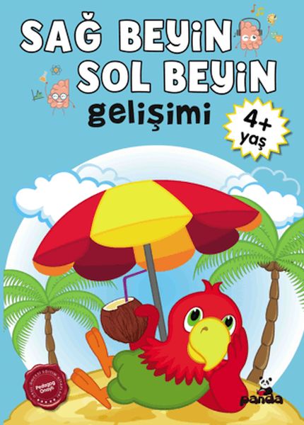 Sağ Beyin-Sol Beyin Gelişimi 4+ Yaş    -zoom-