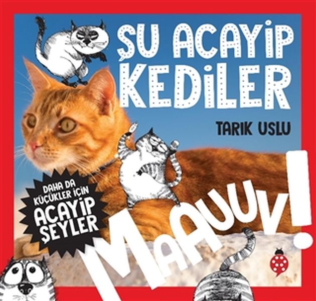 Daha Küçükler İçin Şu Acayip Kediler-zoom-