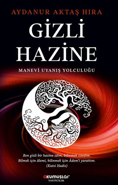 Gizli Hazine-zoom-