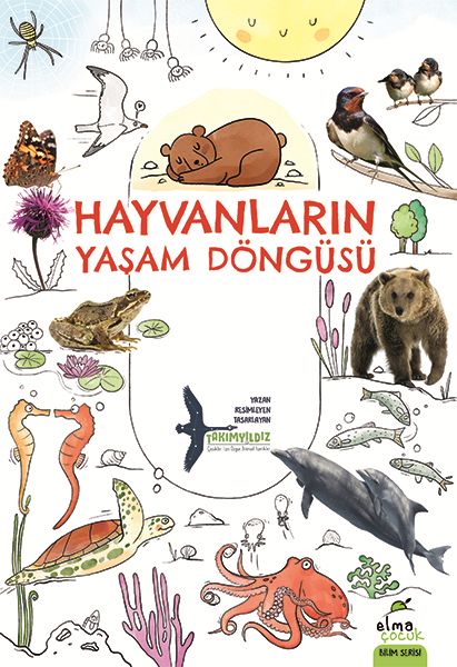 Hayvanların Yaşam Döngüsü-zoom-