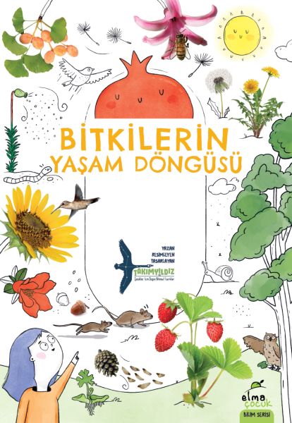 Bitkilerin Yaşam Döngüsü-zoom-