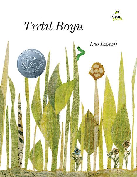 Tırtıl Boyu-zoom-