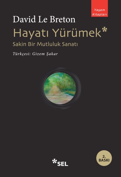 Hayatı Yürümek: Sakin Bir Mutluluk Sanatı-zoom-