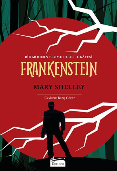 Frankenstein (Bez Ciltli)-zoom-