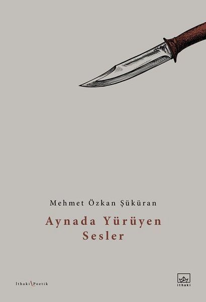 Aynada Yürüyen Sesler-zoom-