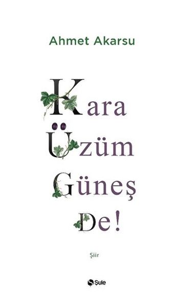 Kara Üzüm Güneş De-zoom-