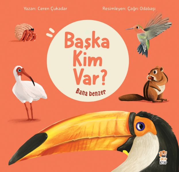 Bana Benzer - Başka Kim Var-zoom-