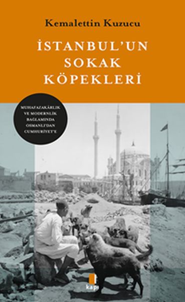 İstanbul’un Sokak Köpekleri-zoom-