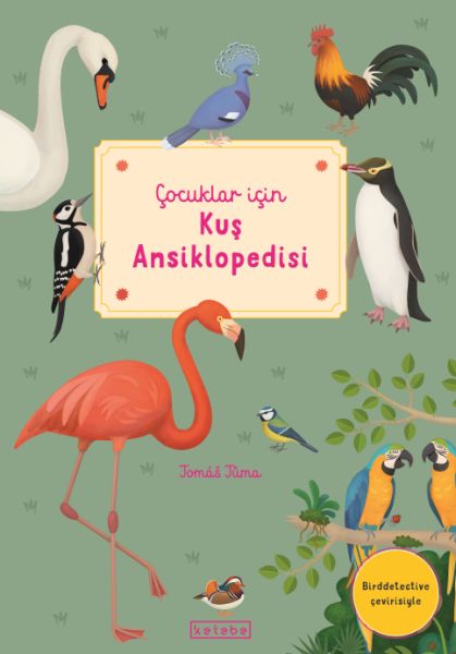 Çocuklar İçin Kuş Ansiklopedisi-zoom-
