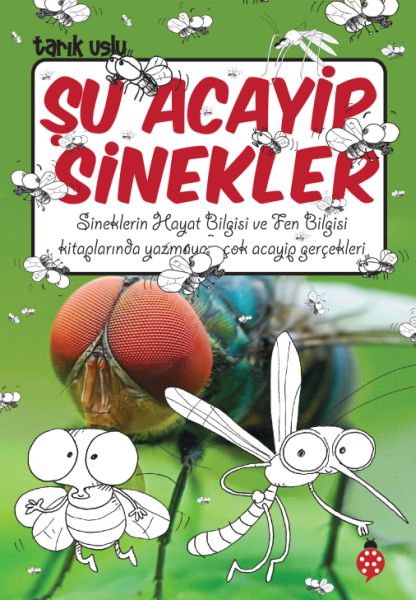 Şu Acayip Sinekler-zoom-