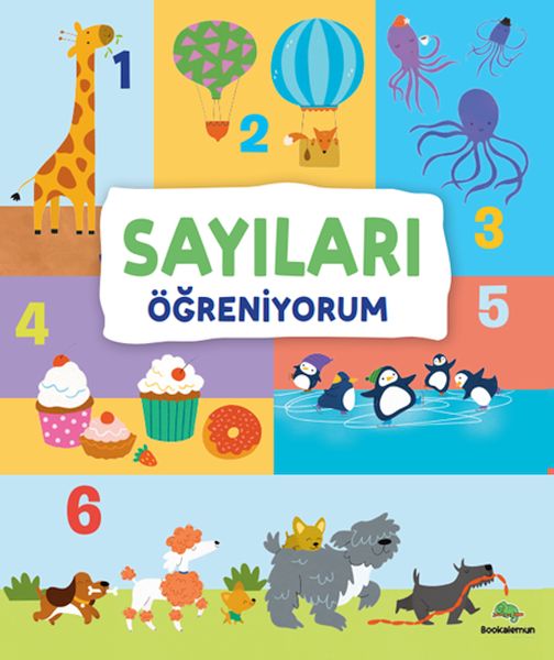 Sayıları Öğreniyorum-zoom-