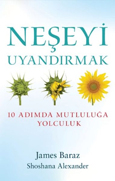 Neşeyi Uyandırmak