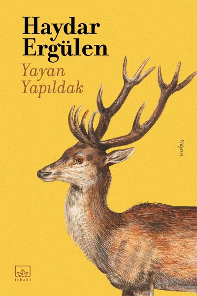 Yayan Yapıldak-zoom-