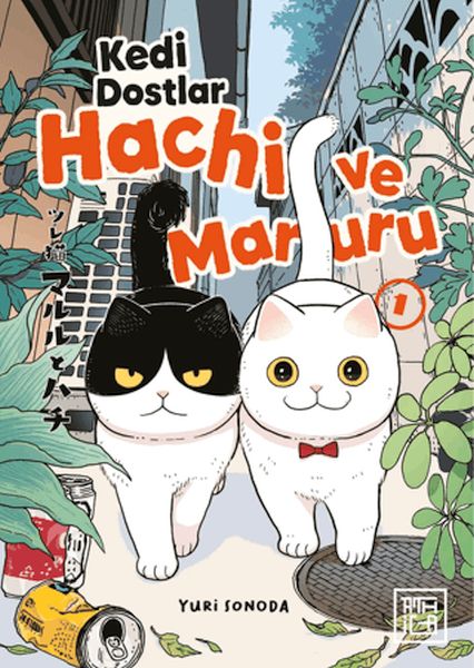 Kedi Dostlar Hachi ve Maruru 1-zoom-