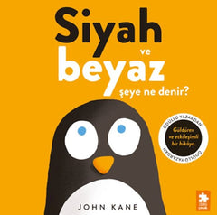 Siyah ve Beyaz Şeye Ne Denir?