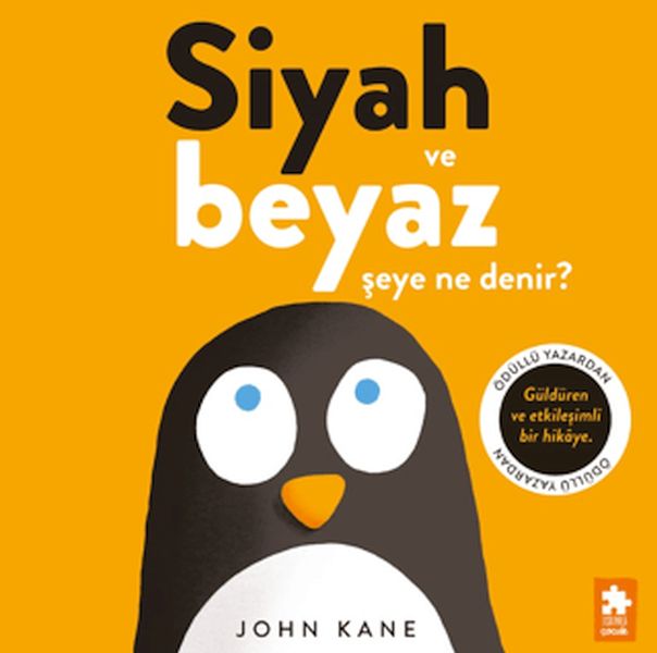 Siyah ve Beyaz Şeye Ne Denir?-zoom-