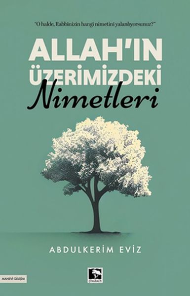 Allah’ın Üzerimizdeki Nimetleri-zoom-