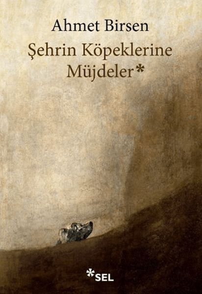 Şehrin Köpeklerine Müjdeler-zoom-