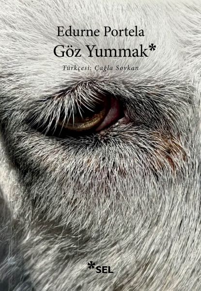 Göz Yummak