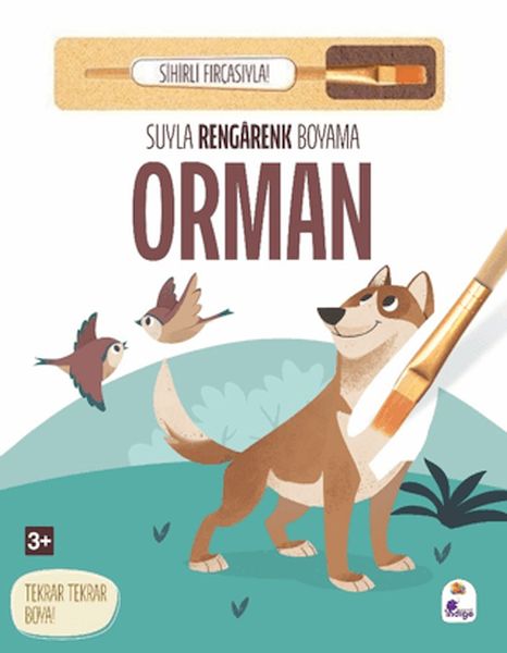 Suyla Rengarenk Boyama - Orman (Sihirli Fırçasıyla)-zoom-