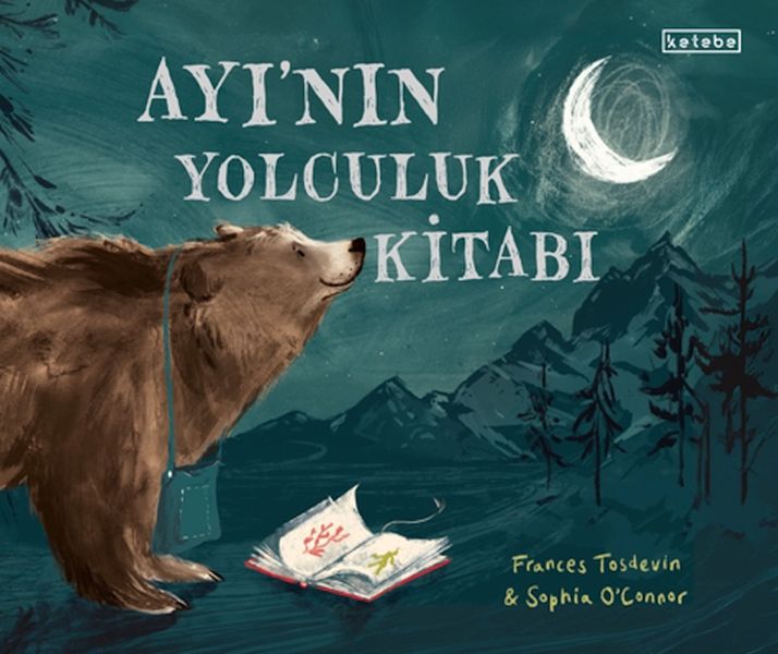 Ayı’nın Yolculuk Kitabı-zoom-