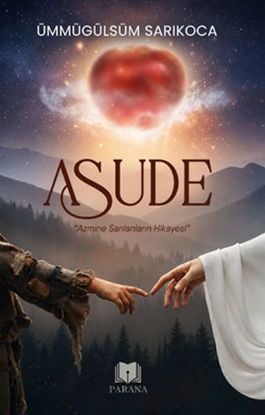 Asude-zoom-