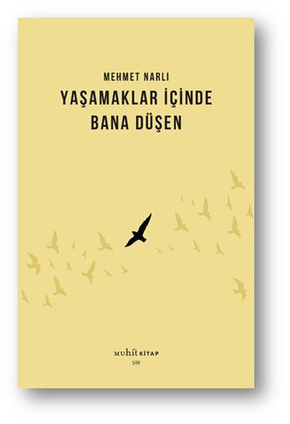 Yaşamaklar İçinde Bana Düşen-zoom-