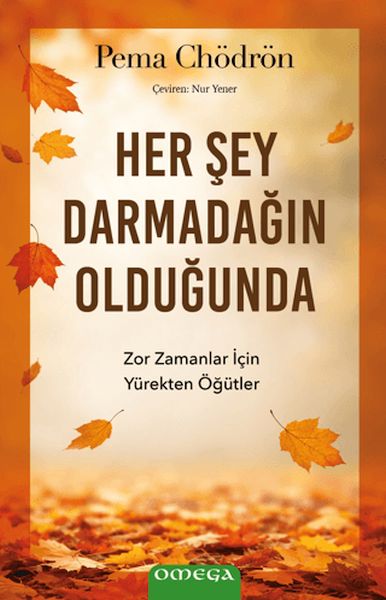 Her Şey Darmadağın Olduğunda-zoom-