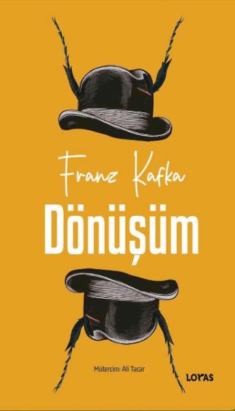 Dönüşüm-zoom-