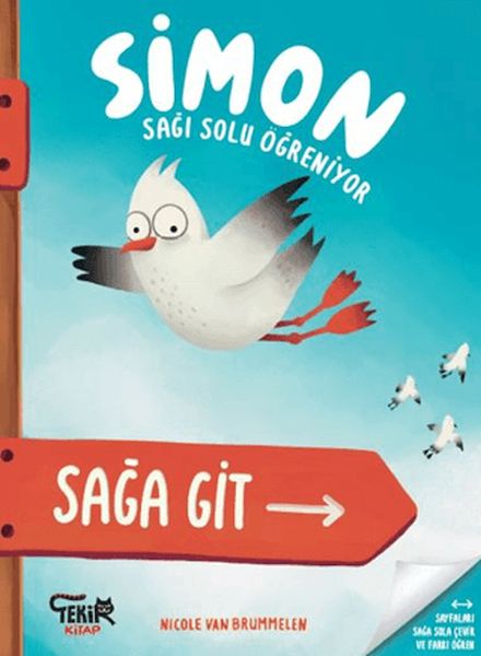 Simon Sağı Solu Öğreniyor-zoom-