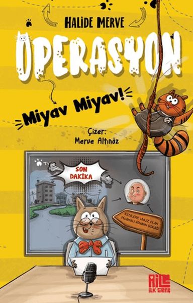Operasyon Miyav Miyav!-zoom-