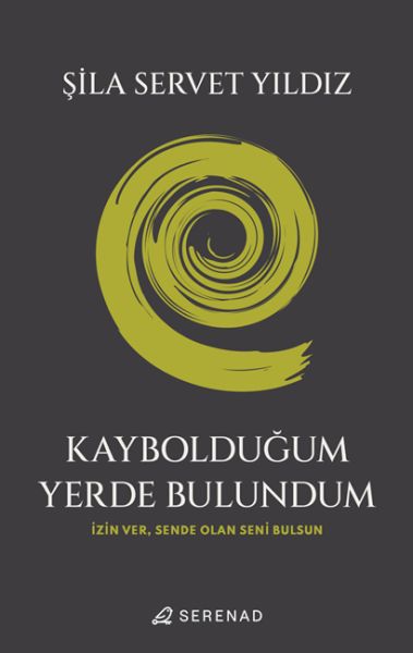 Kaybolduğum Yerde Bulundum-zoom-