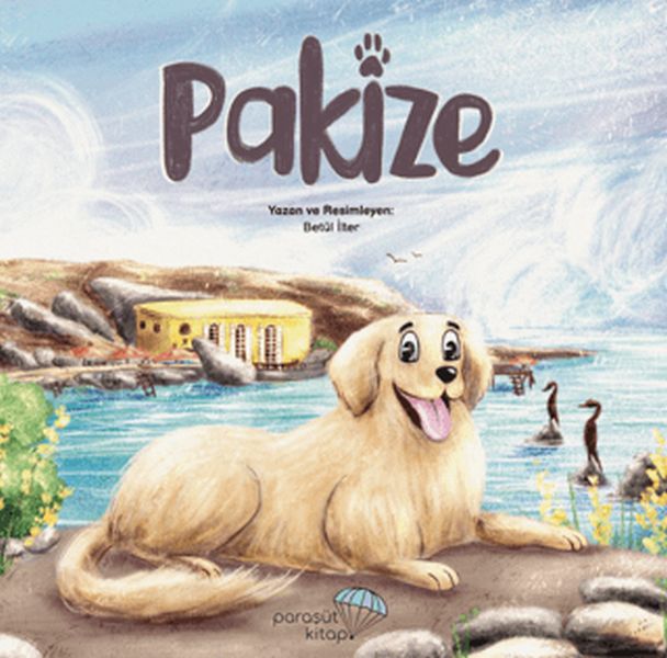 Pakize-zoom-