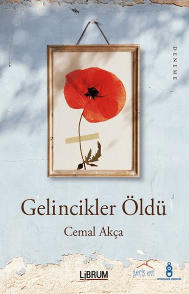 Gelincikler Öldü-zoom-