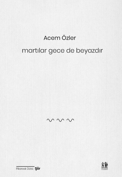 Martılar Gece de Beyazdır-zoom-