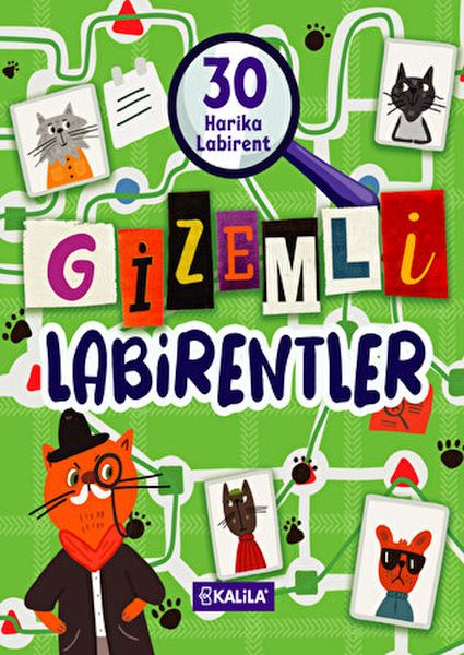 Gizemli Labirentler-zoom-