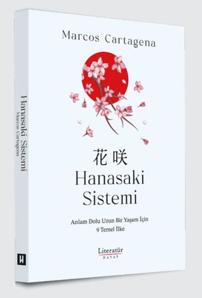Hanasaki Sistemi-zoom-