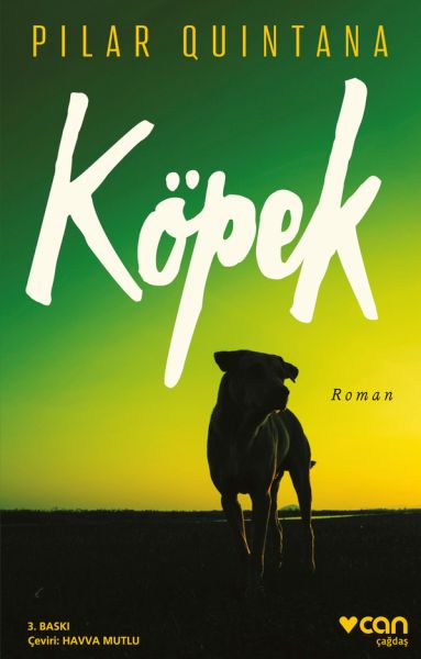 Köpek-zoom-