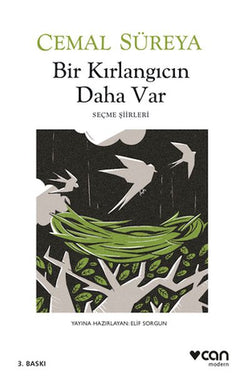 Bir Kırlangıcın Daha Var