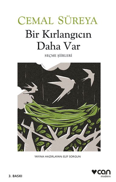 Bir Kırlangıcın Daha Var