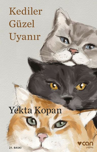 Kediler Güzel Uyanır-zoom-