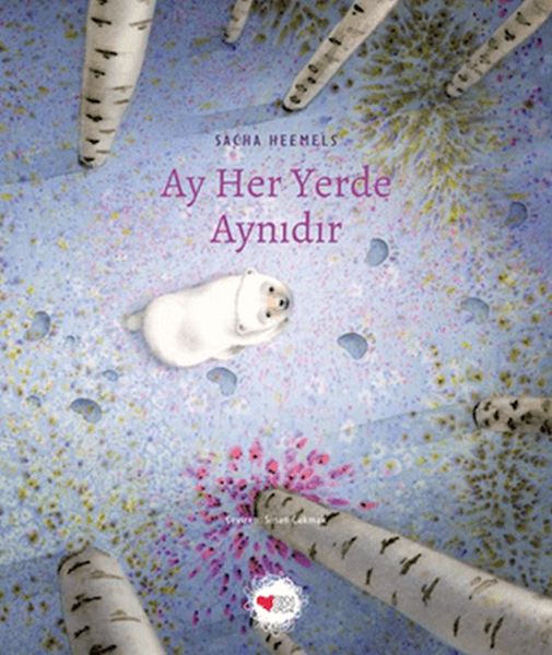 Ay Her Yerde Aynıdır-zoom-