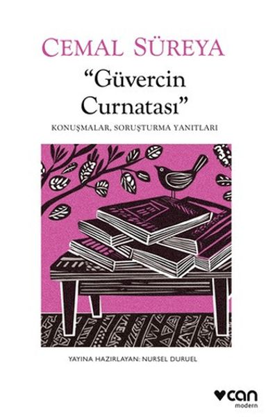 Güvercin Curnatası: Konuşmalar, Soruşturma Yanıtları-zoom-