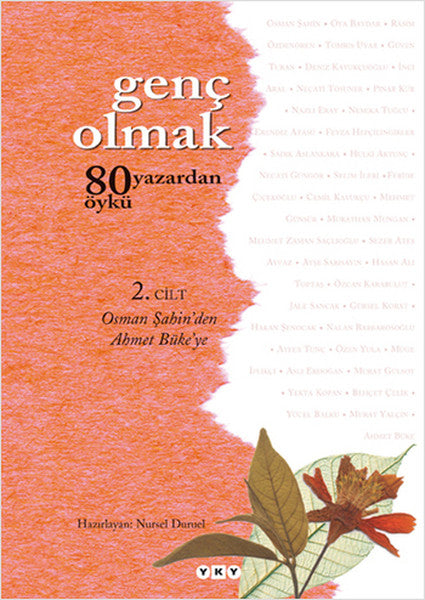 Genç Olmak 2. Cilt-zoom-