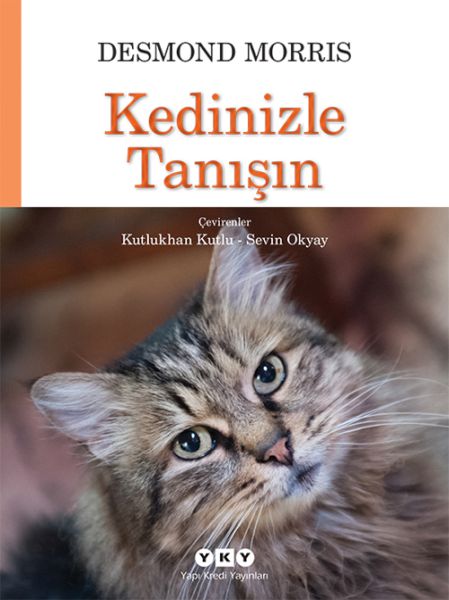 Kedinizle Tanışın-zoom-