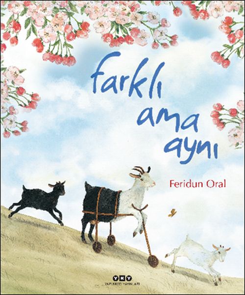 Farklı Ama Aynı-zoom-